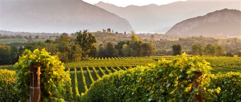 franciacorta wine tours